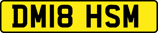 DM18HSM