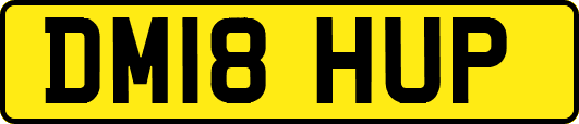 DM18HUP