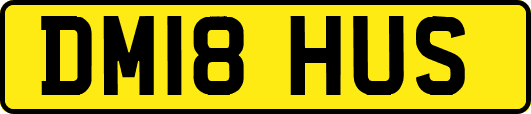 DM18HUS