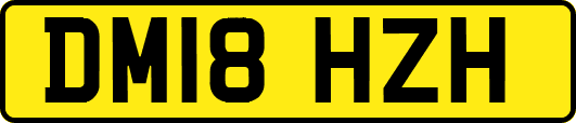 DM18HZH