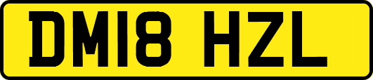 DM18HZL