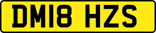 DM18HZS