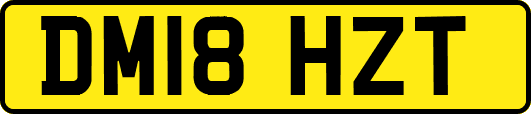 DM18HZT