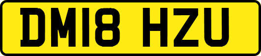 DM18HZU