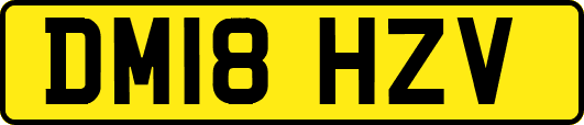 DM18HZV