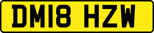 DM18HZW