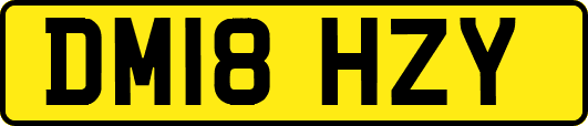 DM18HZY