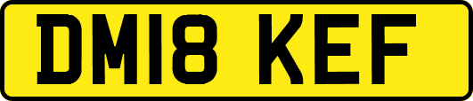 DM18KEF