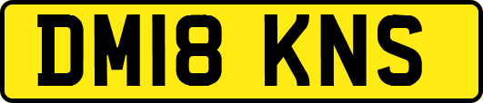 DM18KNS