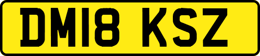 DM18KSZ