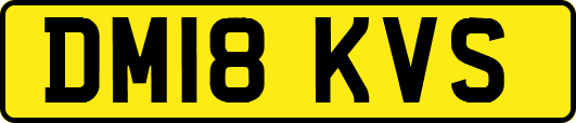 DM18KVS