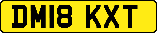 DM18KXT