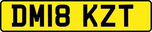 DM18KZT