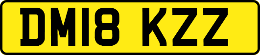 DM18KZZ