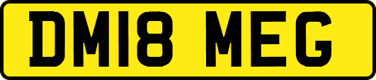 DM18MEG