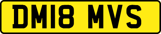 DM18MVS