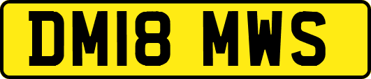DM18MWS