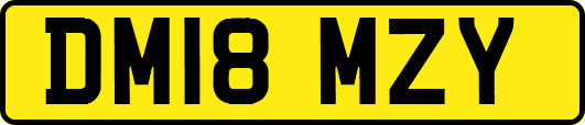 DM18MZY