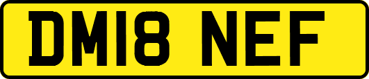 DM18NEF