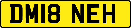 DM18NEH