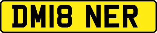 DM18NER