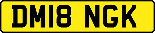 DM18NGK