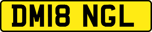 DM18NGL