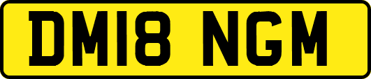 DM18NGM