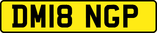 DM18NGP