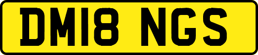 DM18NGS