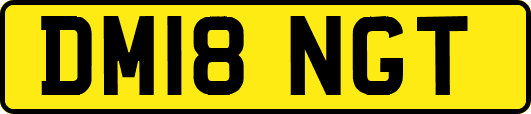 DM18NGT