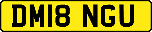 DM18NGU