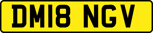 DM18NGV