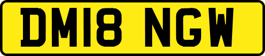 DM18NGW