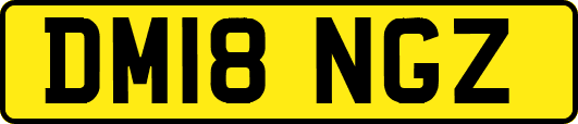 DM18NGZ