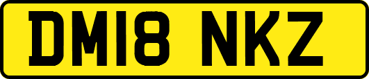 DM18NKZ