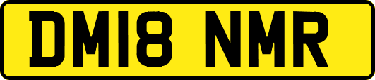 DM18NMR