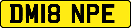 DM18NPE