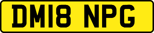 DM18NPG