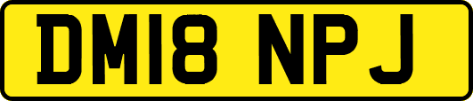 DM18NPJ