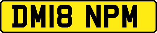 DM18NPM