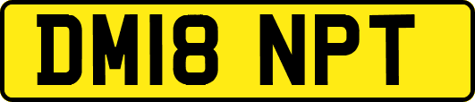 DM18NPT