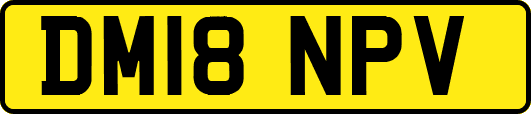 DM18NPV