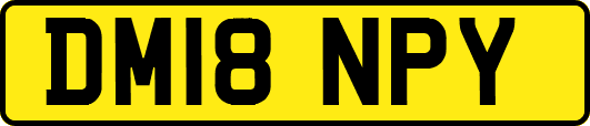 DM18NPY