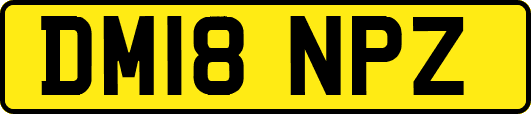 DM18NPZ
