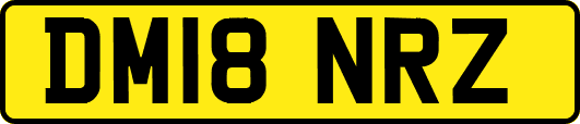 DM18NRZ