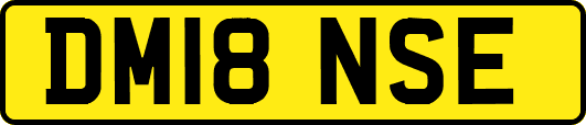 DM18NSE