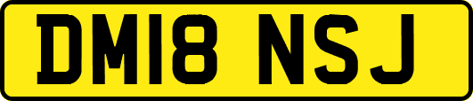 DM18NSJ