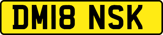 DM18NSK