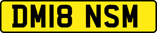 DM18NSM